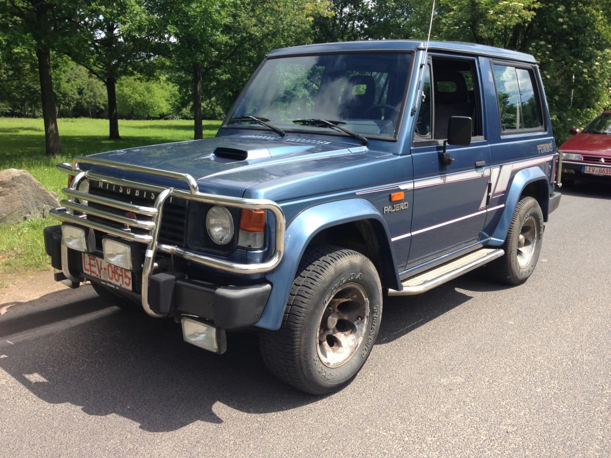 Bild vom Mitsubishi Pajero Blau